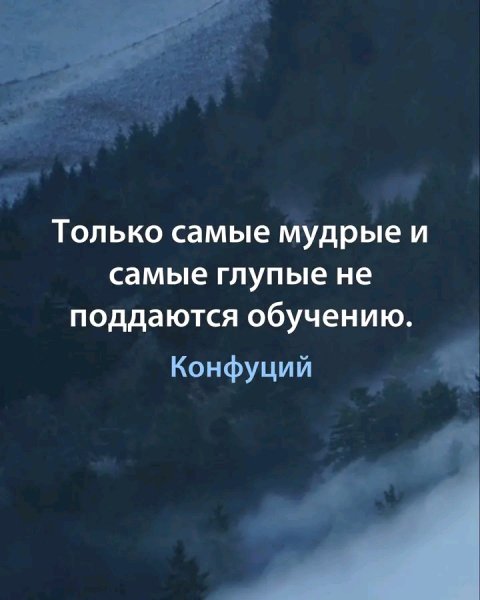 file_95958302