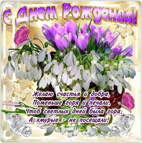 IMG 20190122 174125
