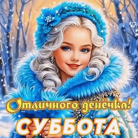 IMG 20260215 011828