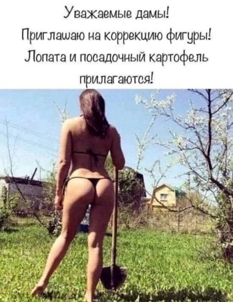 file_90481610