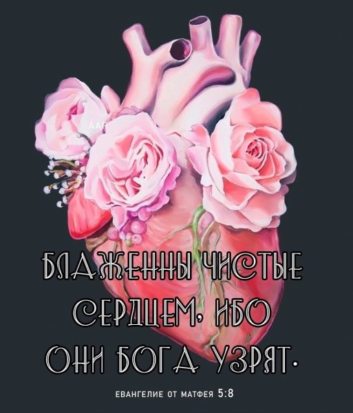 (Матфея 5:8)
