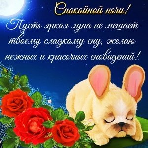 IMG 20181119 160211