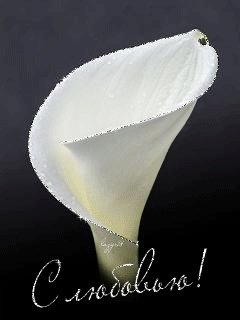 file_48931034
