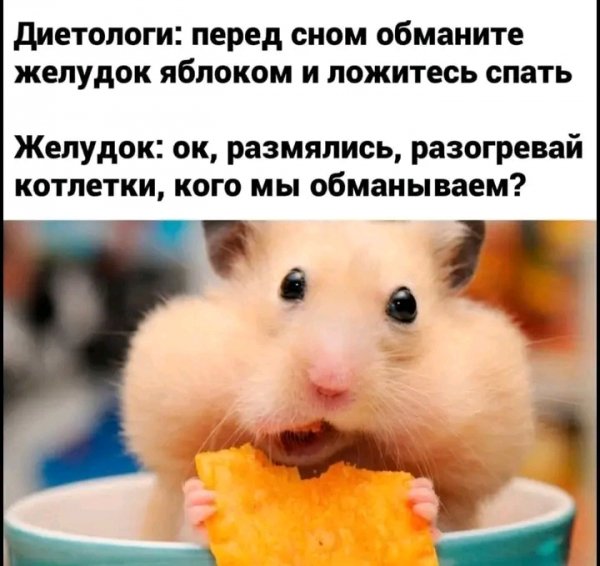 file_103248893