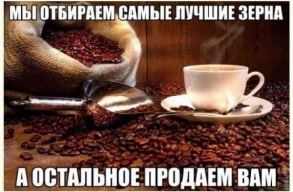 IMG 1697581412484