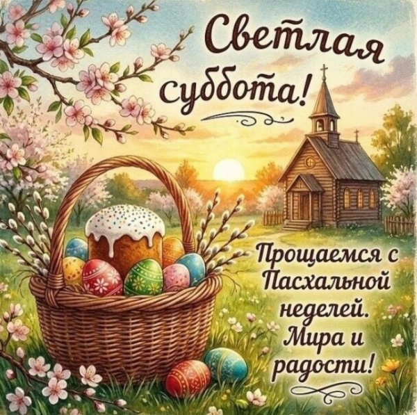 IMG 20260419 102813