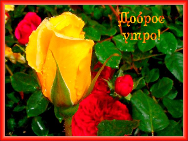 Доброе утро!
