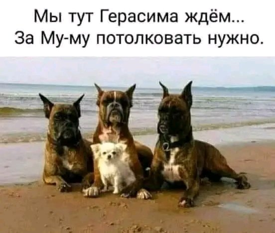 file_103303656