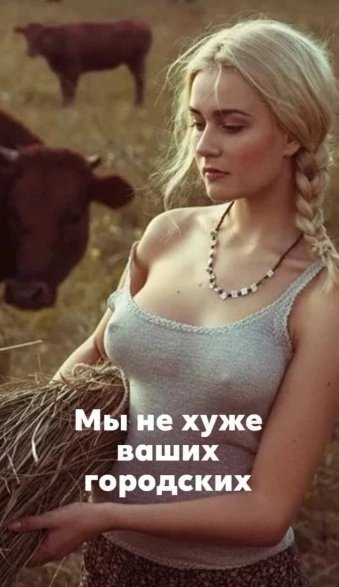file_94320588