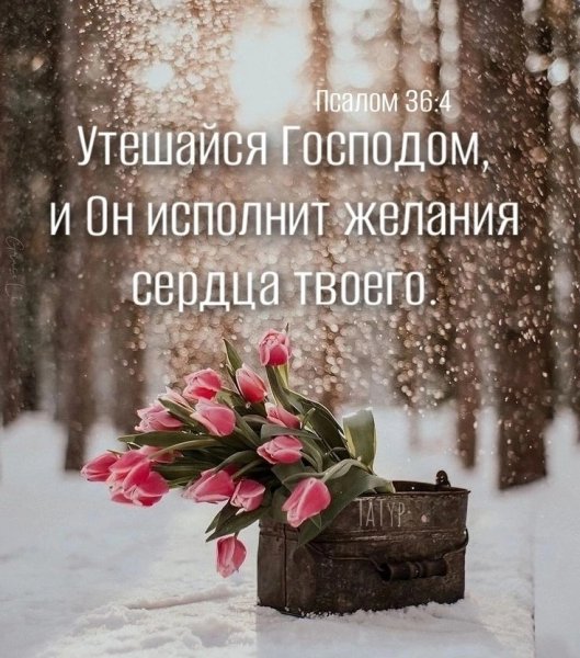 (Пс.36:4)