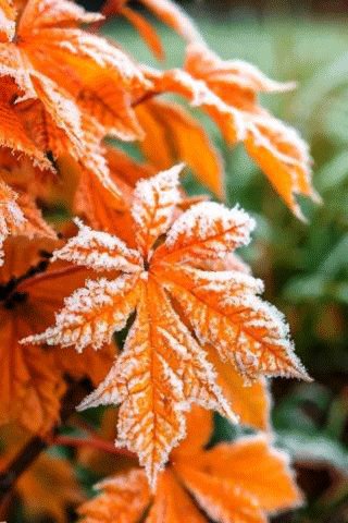 file_100874844