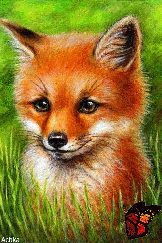 file_81475112