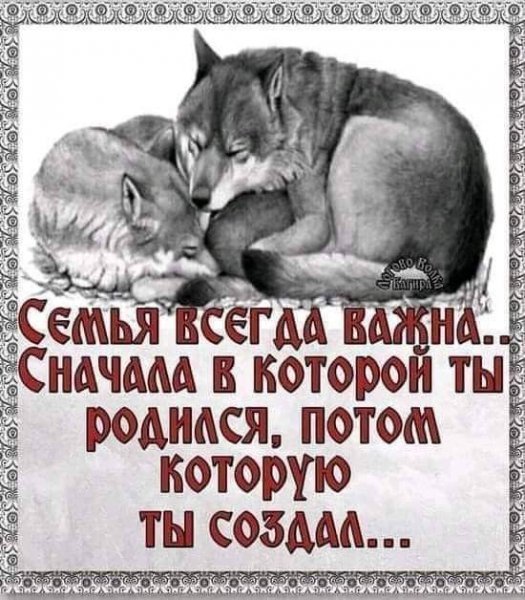 F172246a0b3d7ca942dce809b8ded473