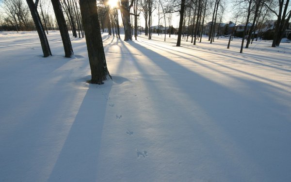 Image ) (24)