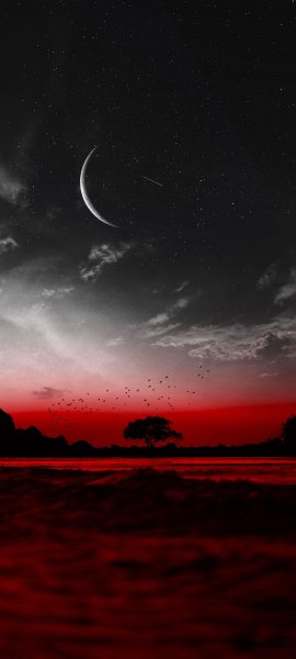 file_85153089