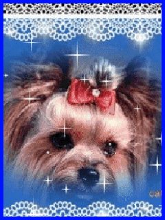 file_56649965