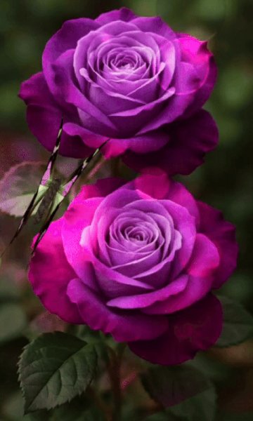 file_100812490