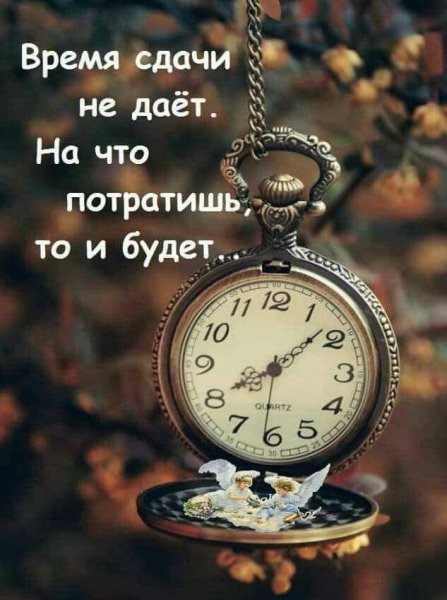 FB IMG 1628163267553