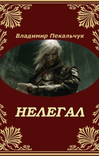 Пекальчук Владимир Нелегал-1