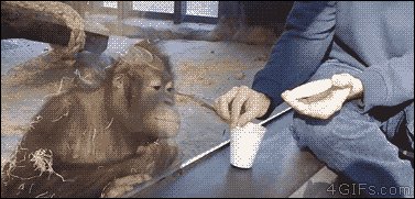 искренняя радость от фокуса