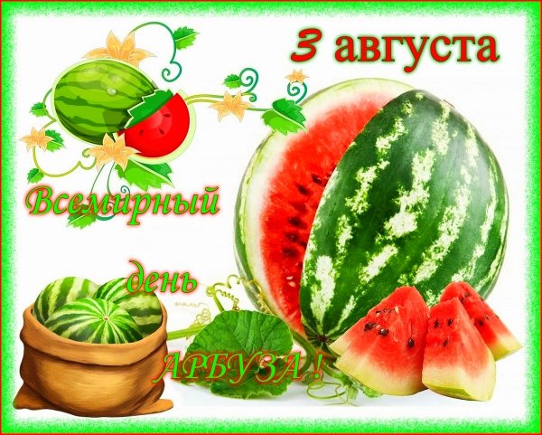 haHB2ff31Q