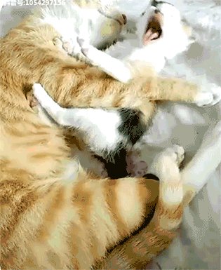 Мама)