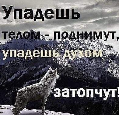 FB IMG 1729869437177