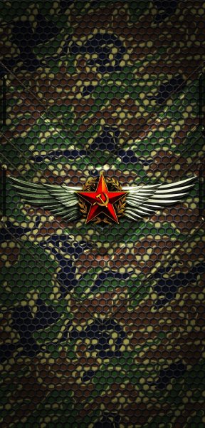 23 февраля
