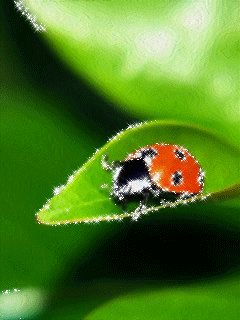 file_64296703
