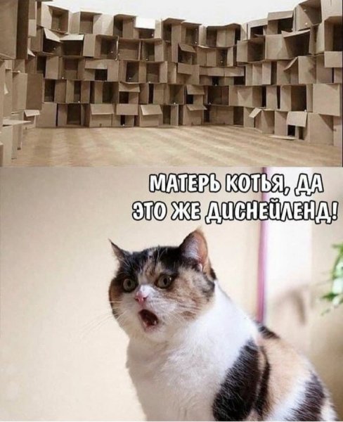 0db8e68518f5acfef462e9c399ee3e74