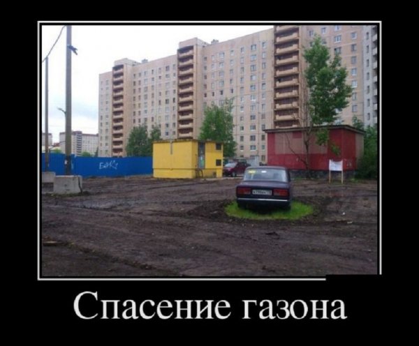 Спасение газона