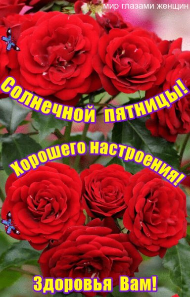 file_81847973