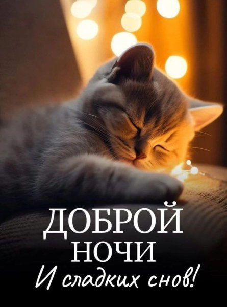 IMG-20240915-WA0000