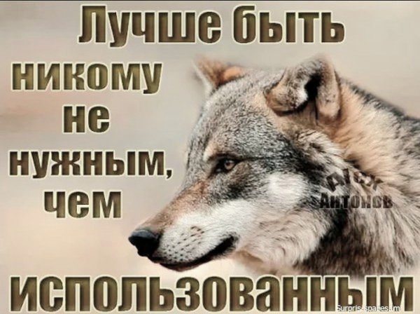 file_101067726