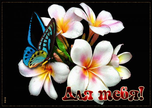 file_99068310