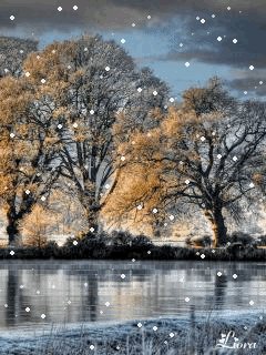 file_59625329