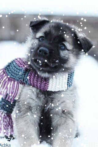file_79558794