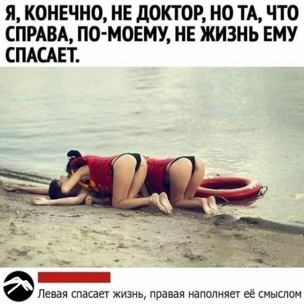 file_103223297