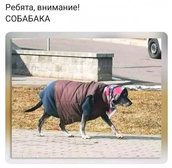 file_103374547