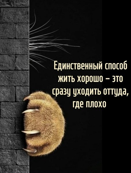 -GQBZ3tbpXc