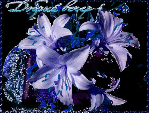 0 9ad65 d45a1c4e XL
