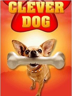 Clever Dog 320x240