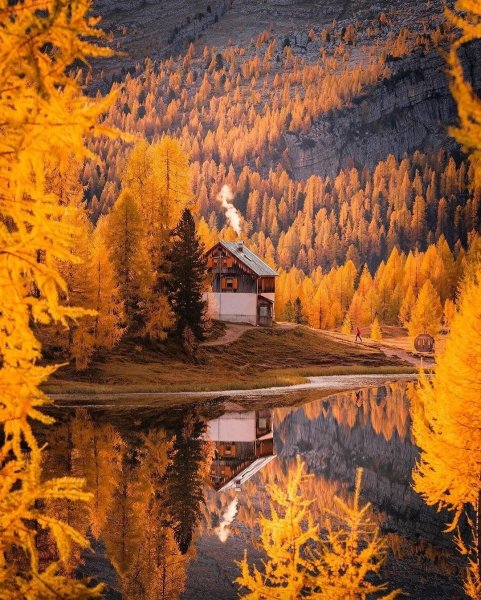 file_94694369