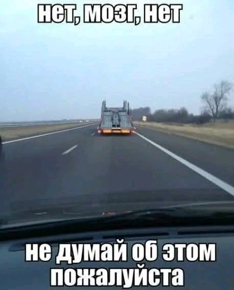 file_103411799