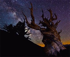 Milky Way Stars shine bright