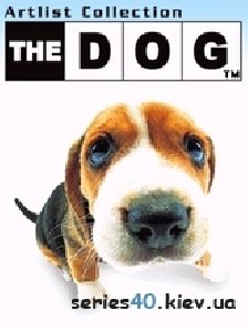 thedogbeagle