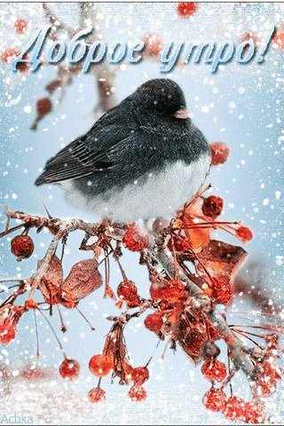 file_76343486
