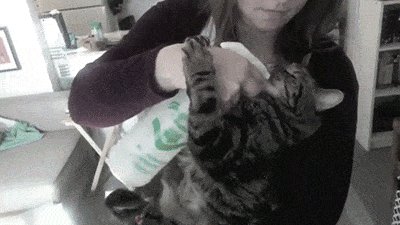 gifs 06