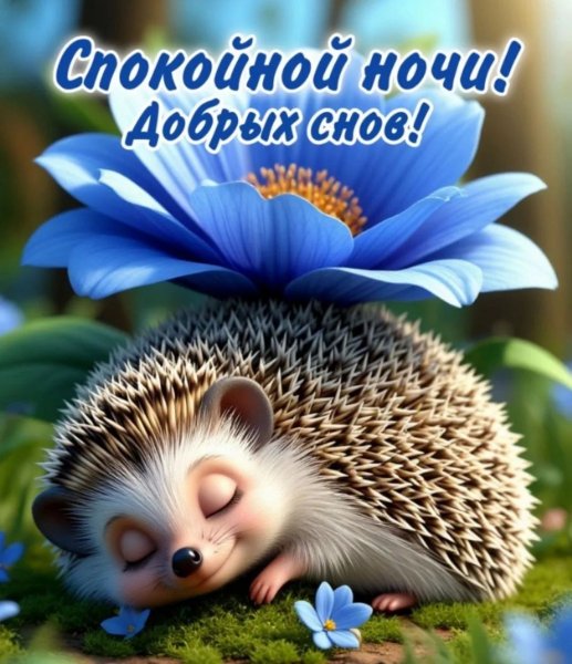 IMG 20260818 221933 130