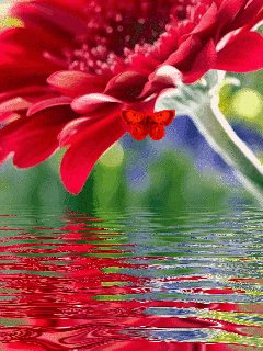 file_60233250